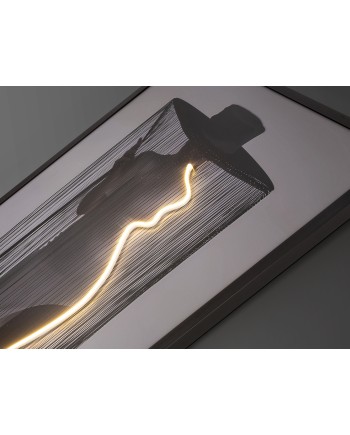 DIVA- CUADRO LUZ LED 80X120